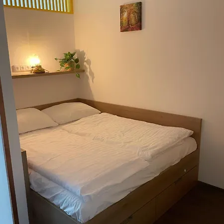 Private D311 Apartment Frymburk nad Vltavou